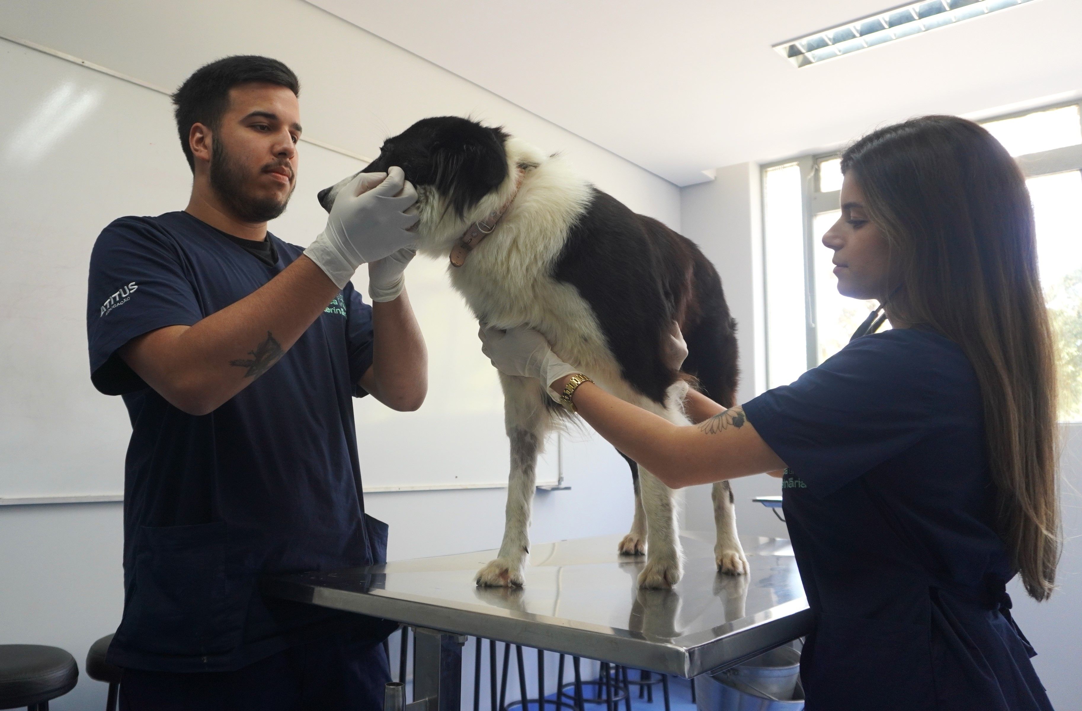 Clínica Veterinária da Atitus.JPG