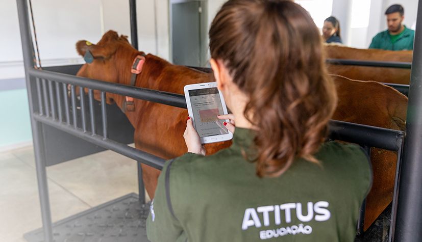 Medicina_veterinaria_2025.jpg