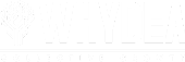 Whydea.png